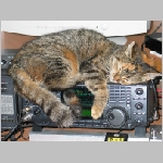 2005_sn0hq_cats2 - QTH SP7SP.jpg